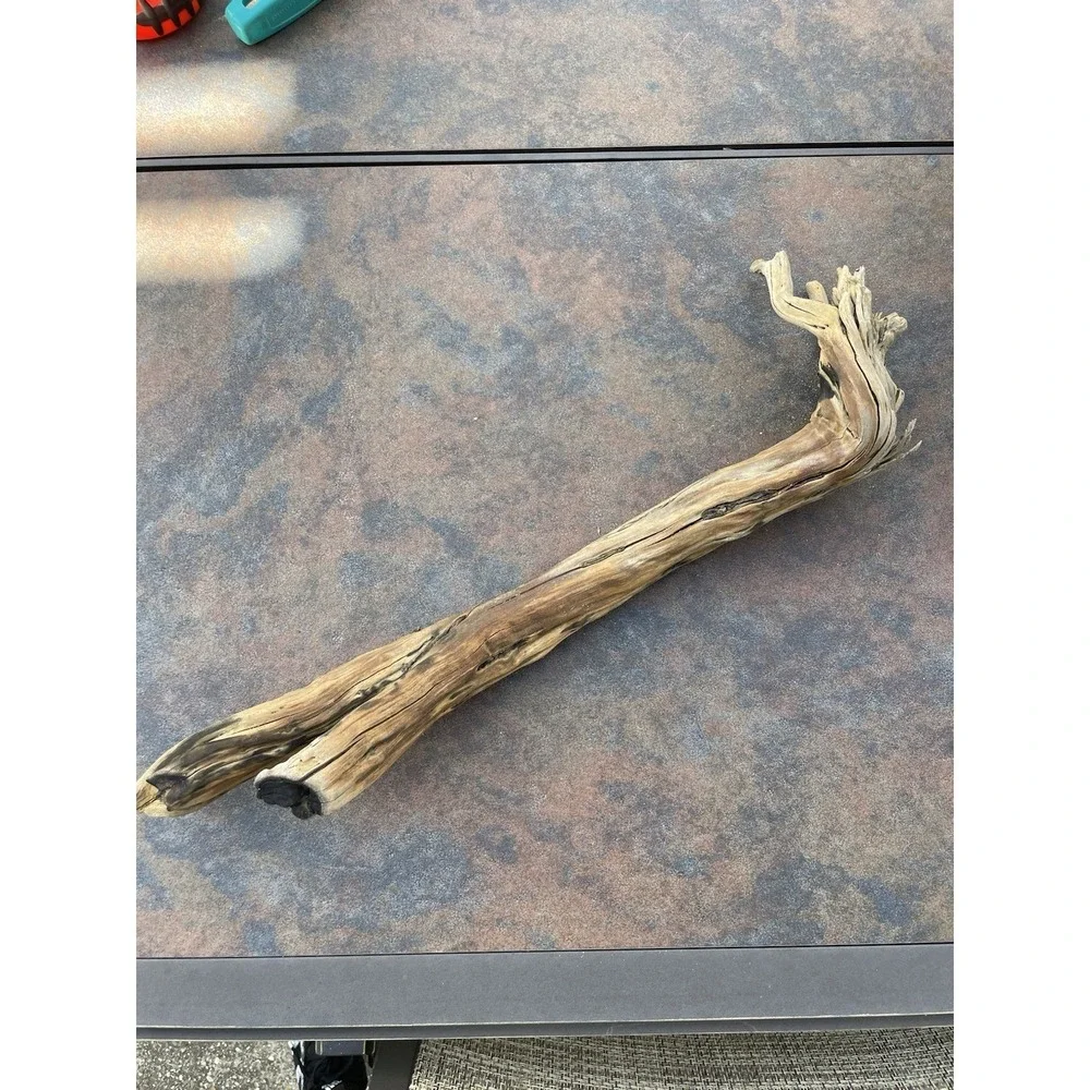Natural Driftwood for Plants Terrarium Taxidermy Art Projects